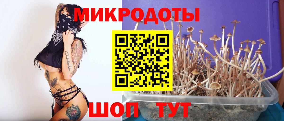 Псилоцибиновые грибы мицелий Кирово-Чепецк